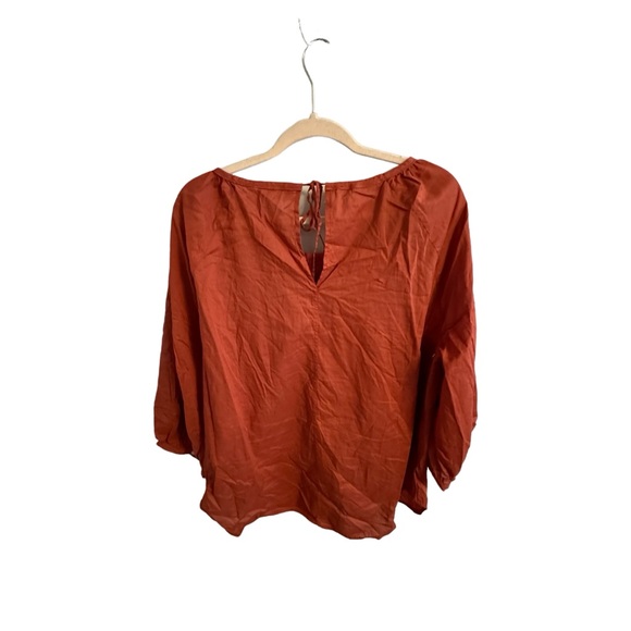 Everlane The Ruched Air Oversized Cotton Blouse - Burnt Sienna - Picture 3 of 5